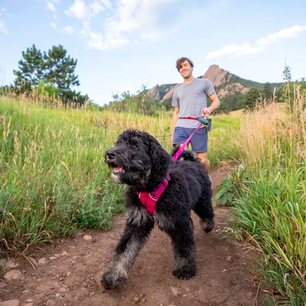 Ruffwear Front Range Dog Harness - Pink